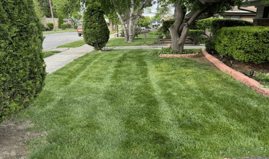 <p style="font-family: 'Poppins', sans-serif; font-weight: 700; font-size:24px;">LAWN MAINTENANCE</p>