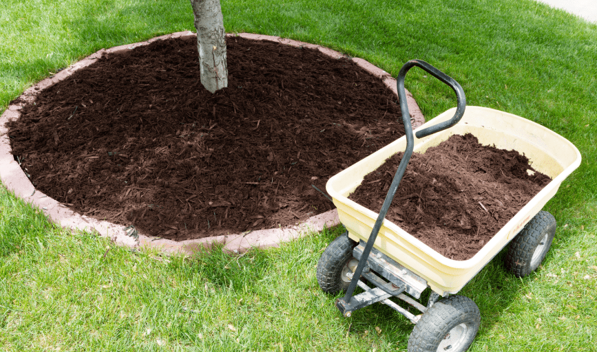 <p style="font-family: 'Poppins', sans-serif; font-weight: 700; font-size:24px;">MULCHING SERVICE</p>